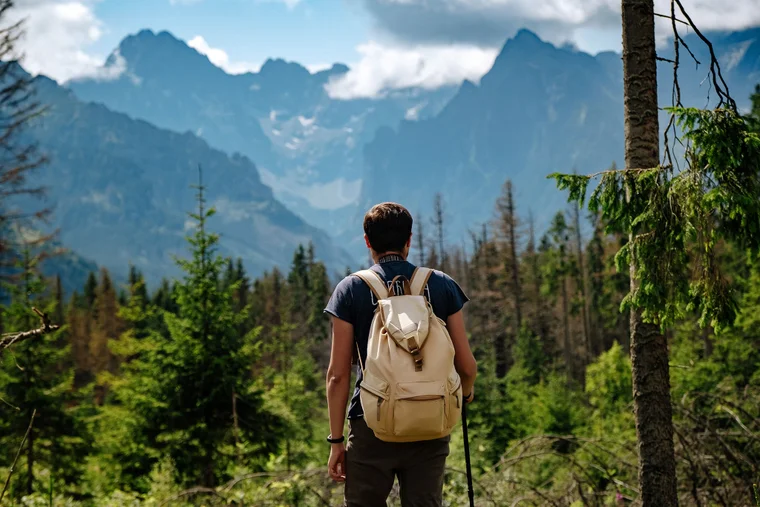 man who has been hiking standing in the woods at the bottom of mountains